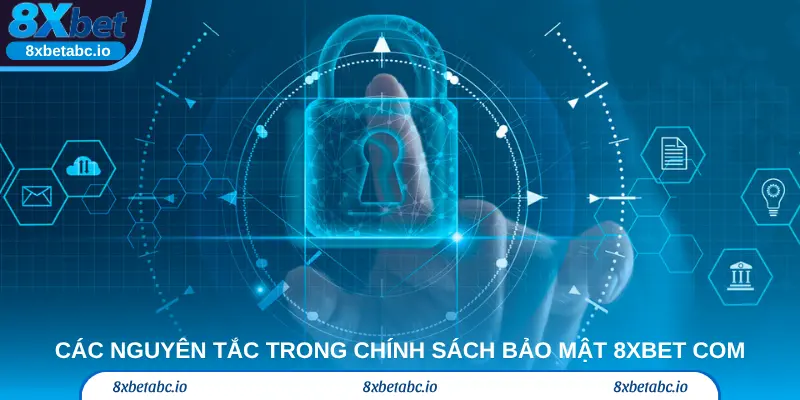 Các nguyên tắc trong chính sách bảo mật 8xbetcom