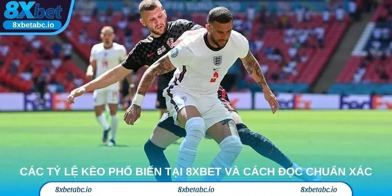 Các tỷ lệ kèo phổ biến tại 8xbet và cách đọc chuẩn xác