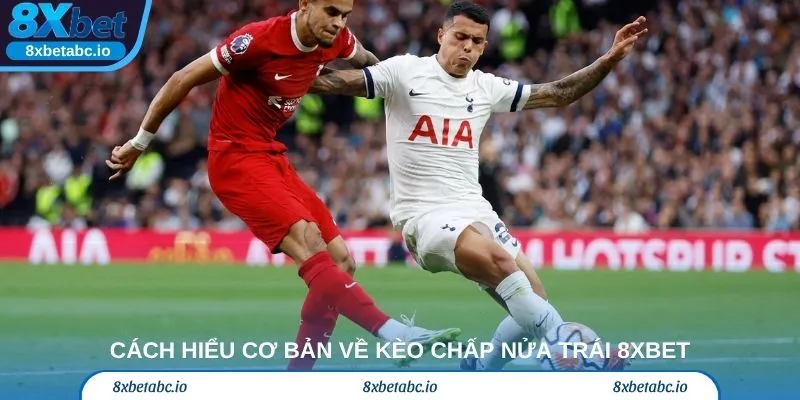 Cách hiểu cơ bản về kèo chấp nửa trái 8XBET