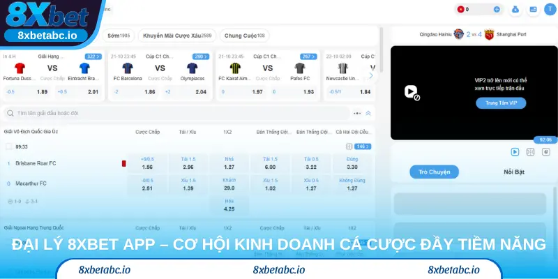 Đại lý 8xbet app – Cơ hội kinh doanh cá cược đầy tiềm năng