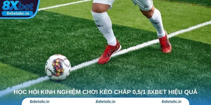 Học hỏi kinh nghiệm chơi kèo chấp 0,5/1 8xbet hiệu quả