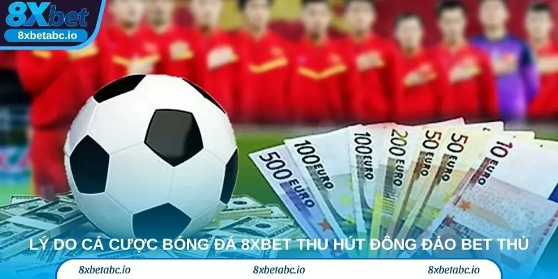 Lý do cá cược bóng đá 8xbet thu hút đông đảo bet thủ