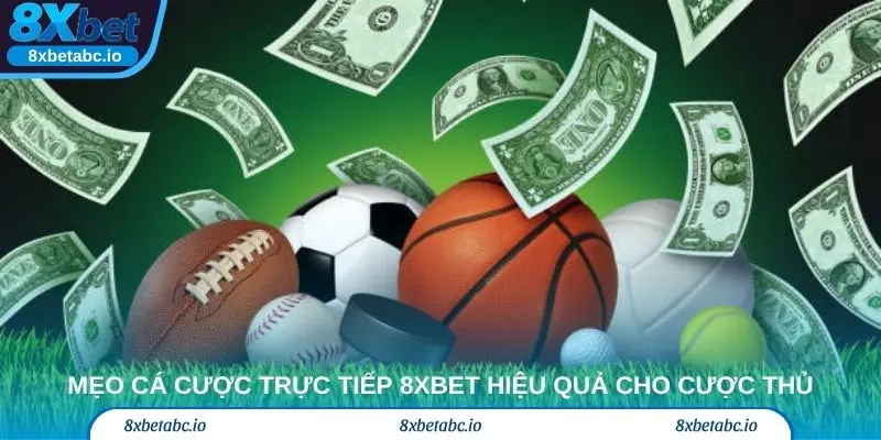 Mẹo cá cược trực tiếp 8xbet hiệu quả cho cược thủ