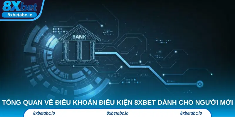 Tổng quan về điều khoản điều kiện 8xbet dành cho người mới